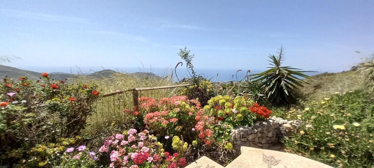 Finca Mariposa Mariposaholidays Nerja Esterno foto
