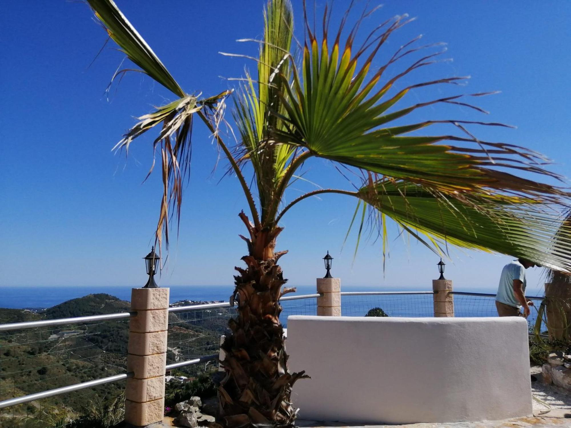 Finca Mariposa Mariposaholidays Nerja Esterno foto